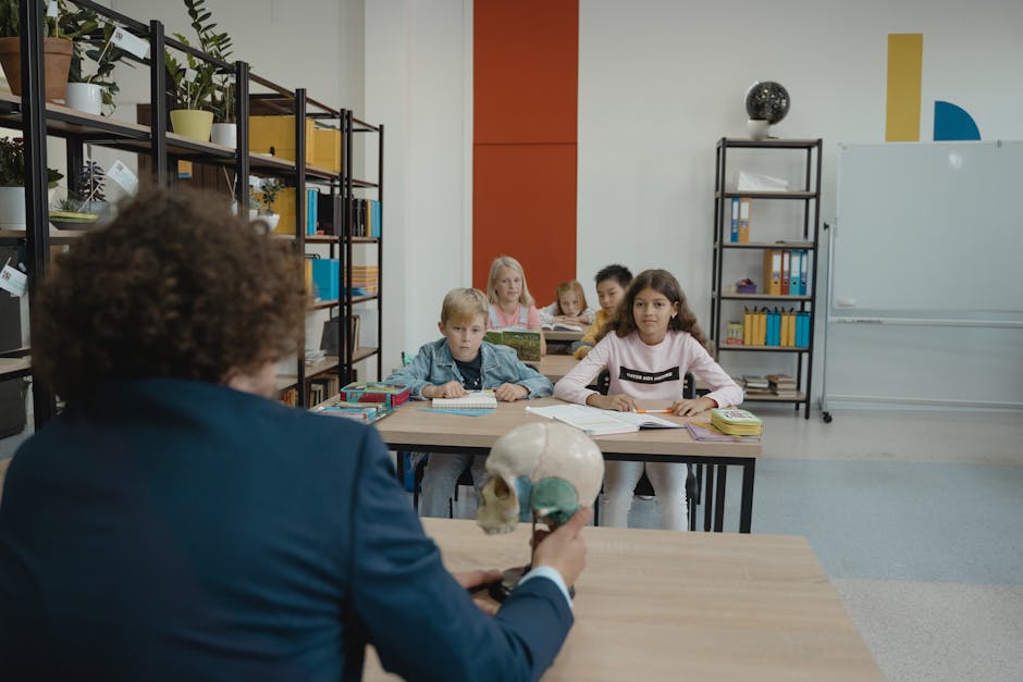 Children learn biology in a colorful classroom setting with a teacher explaining a skull model.